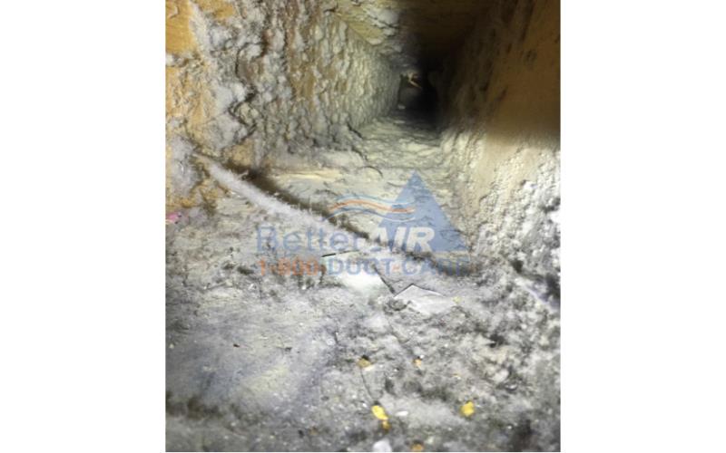 DIY Duct Cleaning: How to Clean Your Air Ducts